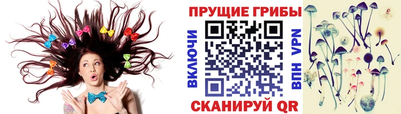 KRAKEN tor Черкесск Галлюциногенные грибы мухоморы